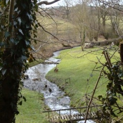Tributary of River Churn, small river running through a grassy meadow, viewed from an elevated position